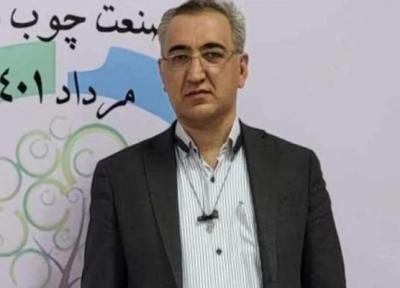 گارگاه های آموزشی انجمن علوم و صنایع چوب و کاغذ ایران برگزار می گردد