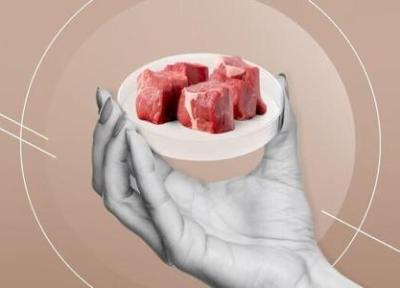 نحوه ساخت گوشت مصنوعی؛ گوشت مصنوعی جایگزینی برای گوشت حیوانی؟